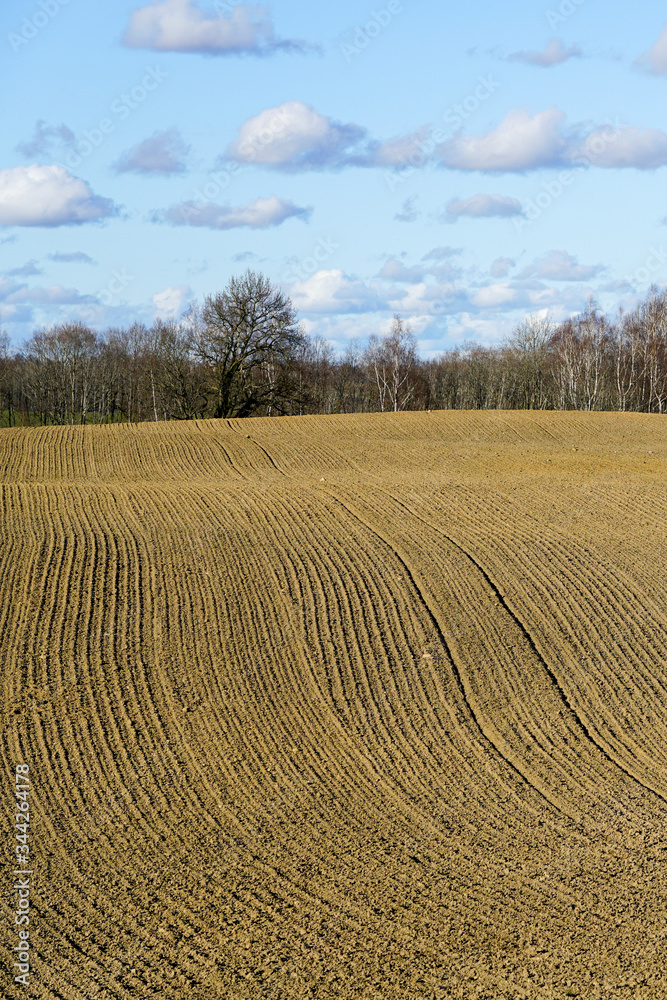 view of plowed and cultivated field in early spring view of plowed and cultivated field in early spring
