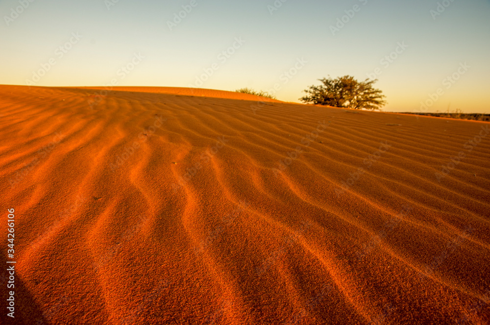 view over dunes kalahari namibia - obrazy, fototapety, plakaty 
