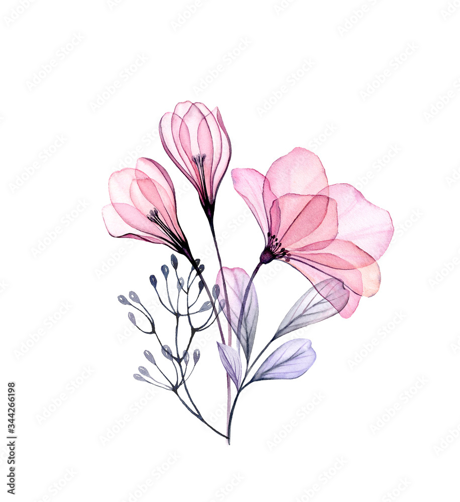 Watercolor Rose and Crocus bouquet. Hand painted artwork with transparent Spring flowers isolated on white. Botanical illustration for cards, wedding design