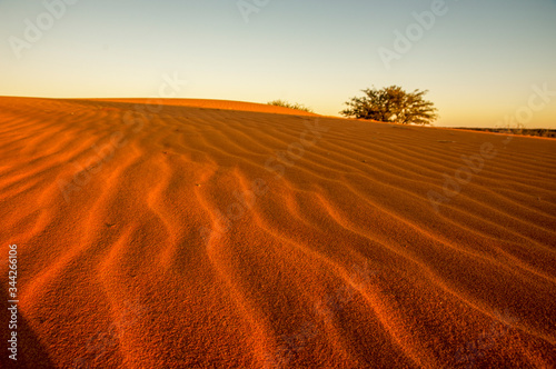 view over dunes kalahari namibia photo