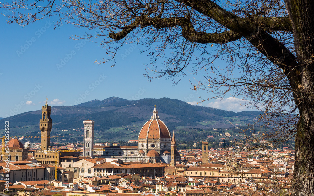 Obraz premium Cathedral of Saint Mary of the Flower (Cattedrale di Santa Maria del Fiore) and tree without leaves in the foreground. Florence, Tuscany, Italy.