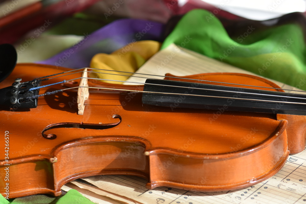 Obraz premium violin and bow on the table
