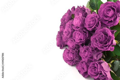Bouquet of purple roses isolated on white background. Happy mothers day, women's day, wedding and valentines day. Greeting card with copy space.