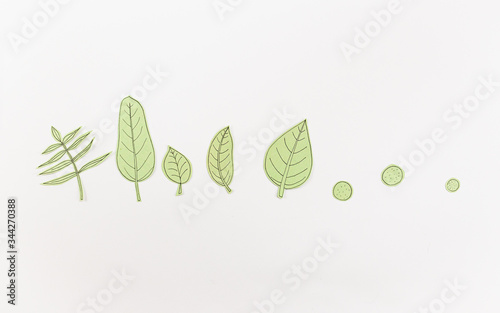 Leaf Set. Hand-drawn decorative elements, doodle floral elements. Black line ink hand drawn art. White background ready for copywriting. Perfect for invitations, greeting cards, posters, prints.