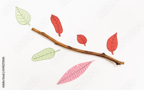 Leaf Set. Hand-drawn decorative elements, doodle floral elements. Black line ink hand drawn art. White background ready for copywriting. Perfect for invitations, greeting cards, posters, prints.