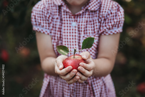jesienne jabłko szkoła dziecko