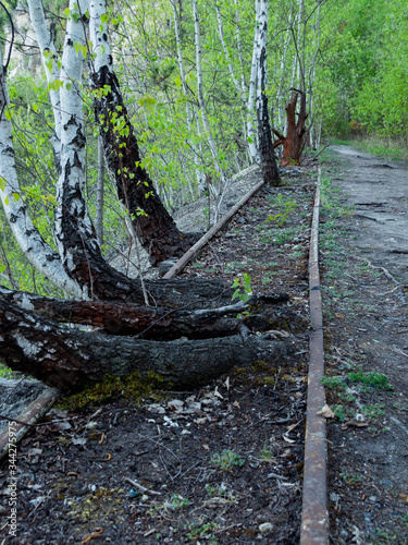 Canvas-taulu Old rail tracks used in Liban quarry. Cracow. Poland