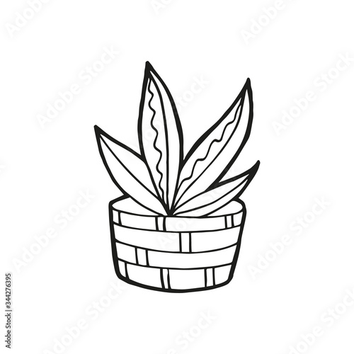Single hand drawn house plant. In doodle style, black outline isolated on a white background. Cute element for card, social media banner, sticker, print, decoration kids playroom. Vector illustration