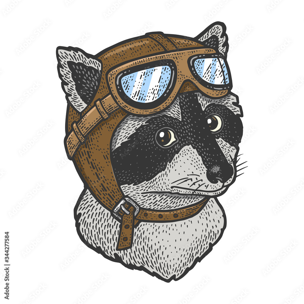 Cartoon raccoon aviator pilot helmet hat color sketch engraving vector  illustration. T-shirt apparel print design. Scratch board imitation. Black  and white hand drawn image. Stock Vector | Adobe Stock