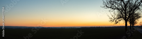 Panorama of a sunset over a rural area with the silhouette of a tree next to a country road