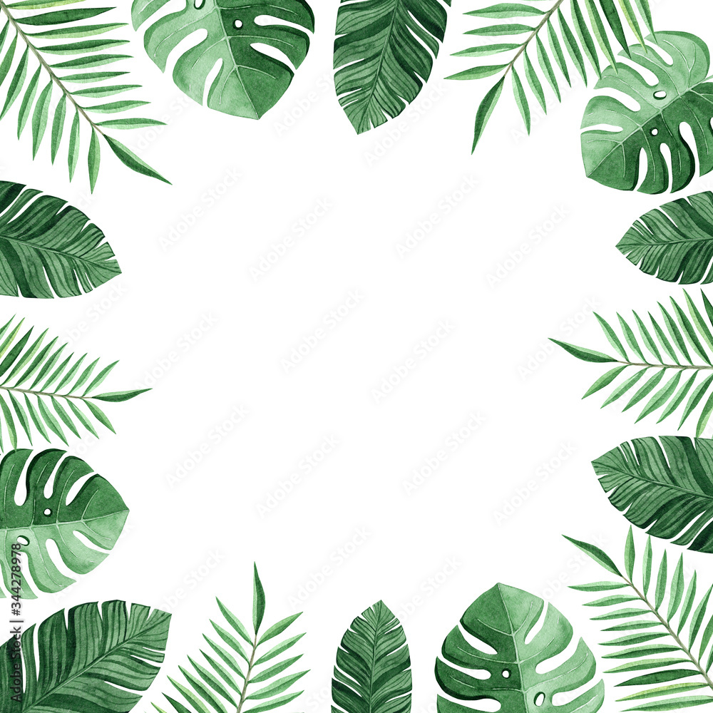 watercolor square frame with tropical leaves isolated on white background. Monstera and palm leaves decoration watercolor square frame with tropical leaves isolated on white background. Monstera and palm leaves decoration