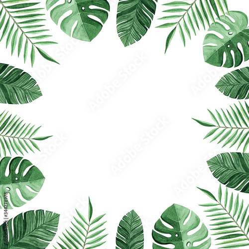 watercolor square frame with tropical leaves isolated on white background. Monstera and palm leaves decoration 