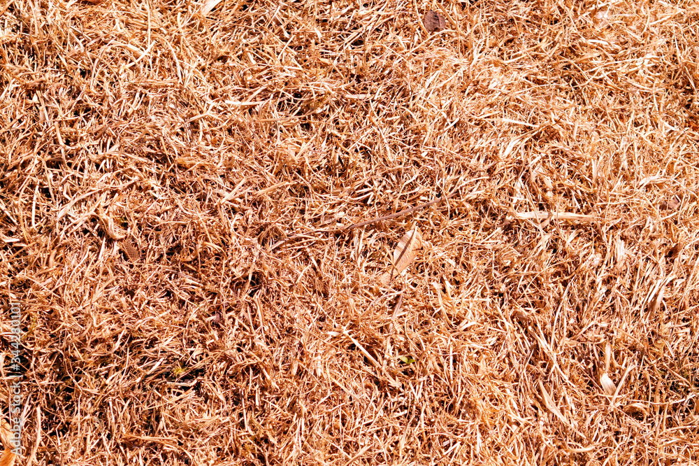 Hay on the ground.
