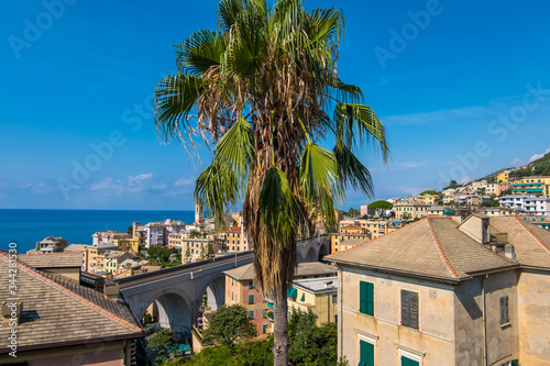 Bogliasco, Italy - August 19, 2019: Picturesque resort Bogliasco on Ligurian seashore near Genoa in Liguria, Italy © kateafter