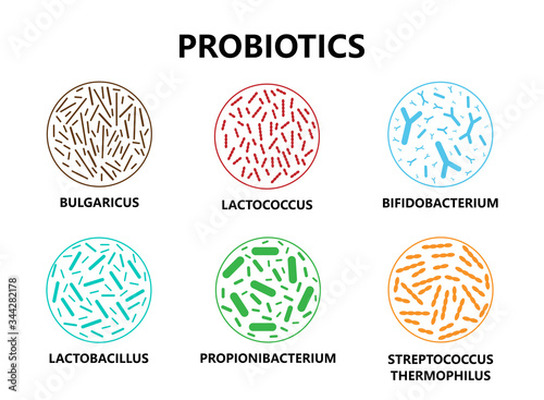 Probiotics. Microorganisms for human health. Good bacteria and bifidobacterium, lactobacillus