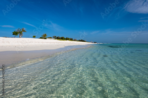 Tropical white beach with crystalline water in Madrisky island (Los Roques Archipelago, Venezuela). photo