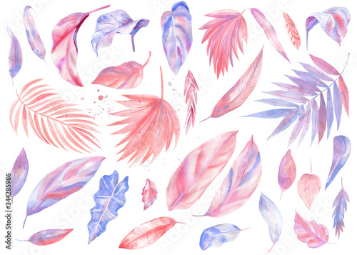 Palm pink leaves on isolated white background   watercolor illustration  pastel painting  greeting card