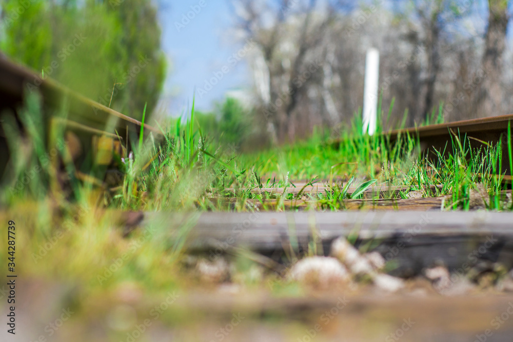Abandoned railway
Abandoned railway