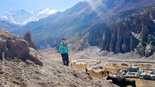 A woman hiking along a small heard of horses wandering on Himalayan slopes in Nepal. Wild horses. In the back there are snow capped peaks of Annapurna Chain. Freedom and adventure.