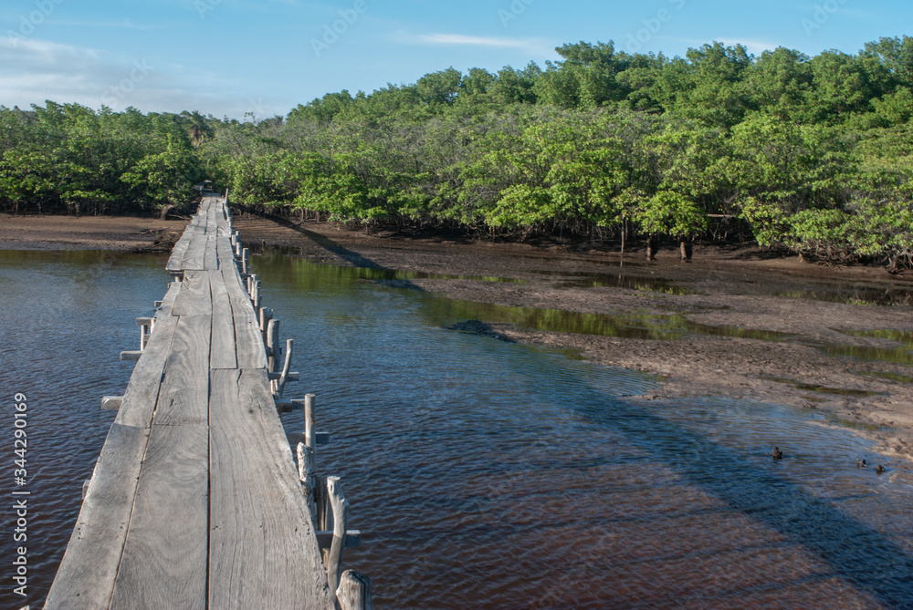 Porto de Pedras / Alagoas / Brazil. January, 26, 2015. Wooden bridge over the estuary and mangrove area of the Tatuamunha River.