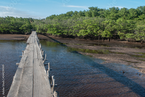 Porto de Pedras / Alagoas / Brazil. January, 26, 2015. Wooden bridge over the estuary and mangrove area of the Tatuamunha River. photo