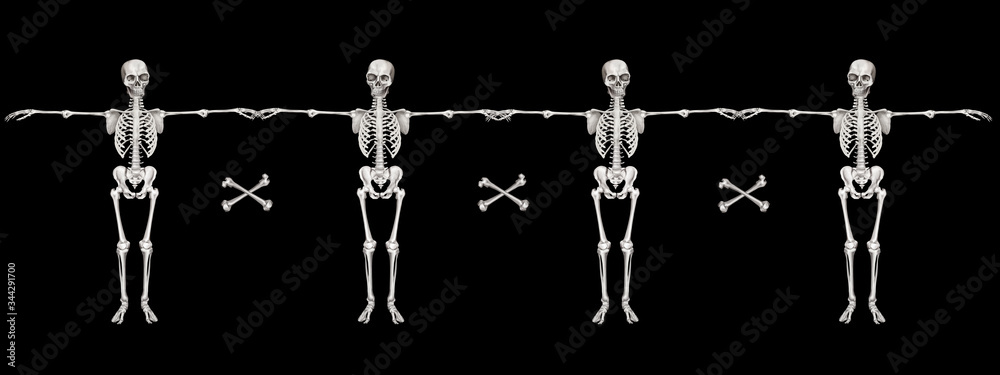 Halloween decorative skeleton border. Bright clip art isolated on black
