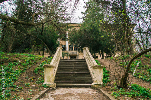 
Old abandoned forest ranger in the forest