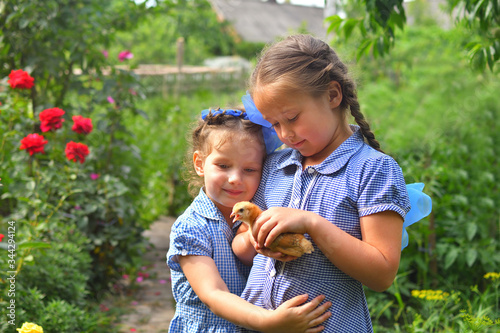 two happy little smiling girls sisters are holding their hens outside the countryside house in a sunny summer day. Concept: love for animals and nature.Happy childrens day.sisters day
