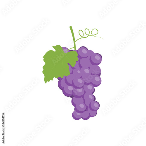 Purple Grapes isolated on white background. Vector illustration.