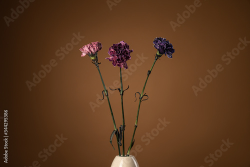 Dark purple, violet, peach pink carnations in vase isolated on brown background