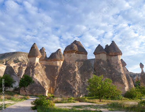Pasabag valley, or Valley of monks in Cappadocia, Central Anatolia, Turkey