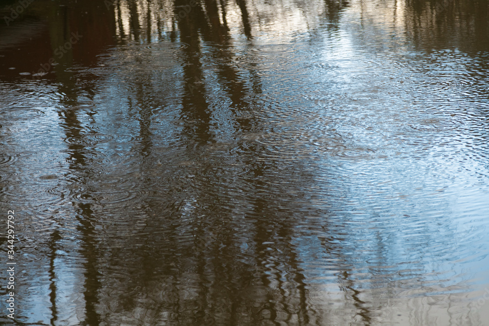 Beautiful reflection in the river of trees. Spring day Beautiful reflection in the river of trees. Spring day