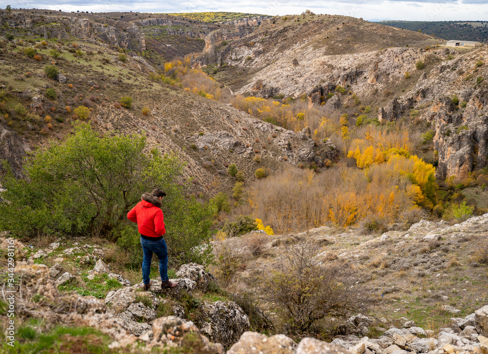 Young man trekking on beautiful late fall scenery with orange foliage in a canyon