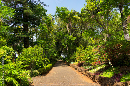 Funchal Botanical Gardens in Madeira island, Portugal, Europe