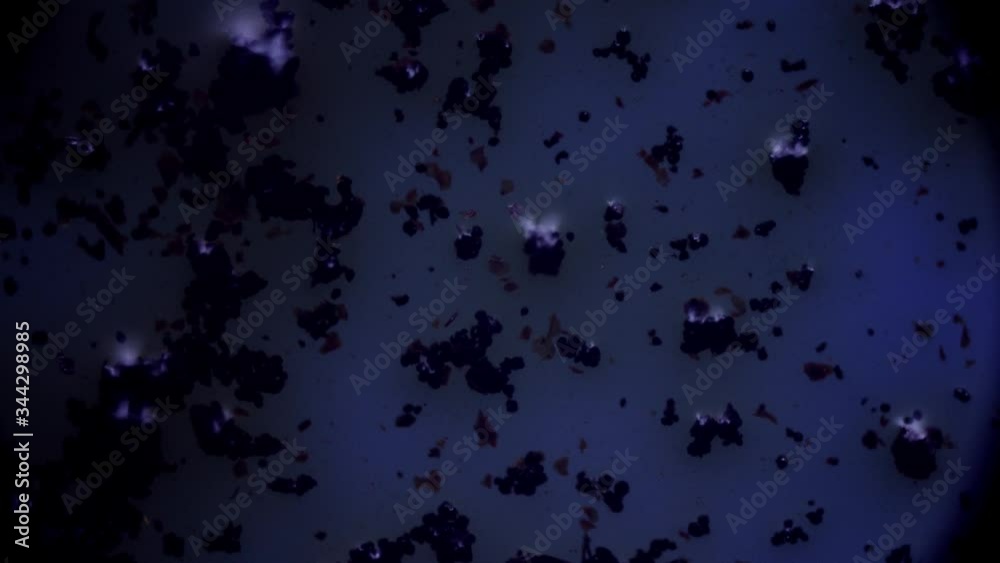 time lapse. surface in macro when shooting through a microscope time lapse. surface in macro when shooting through a microscope
