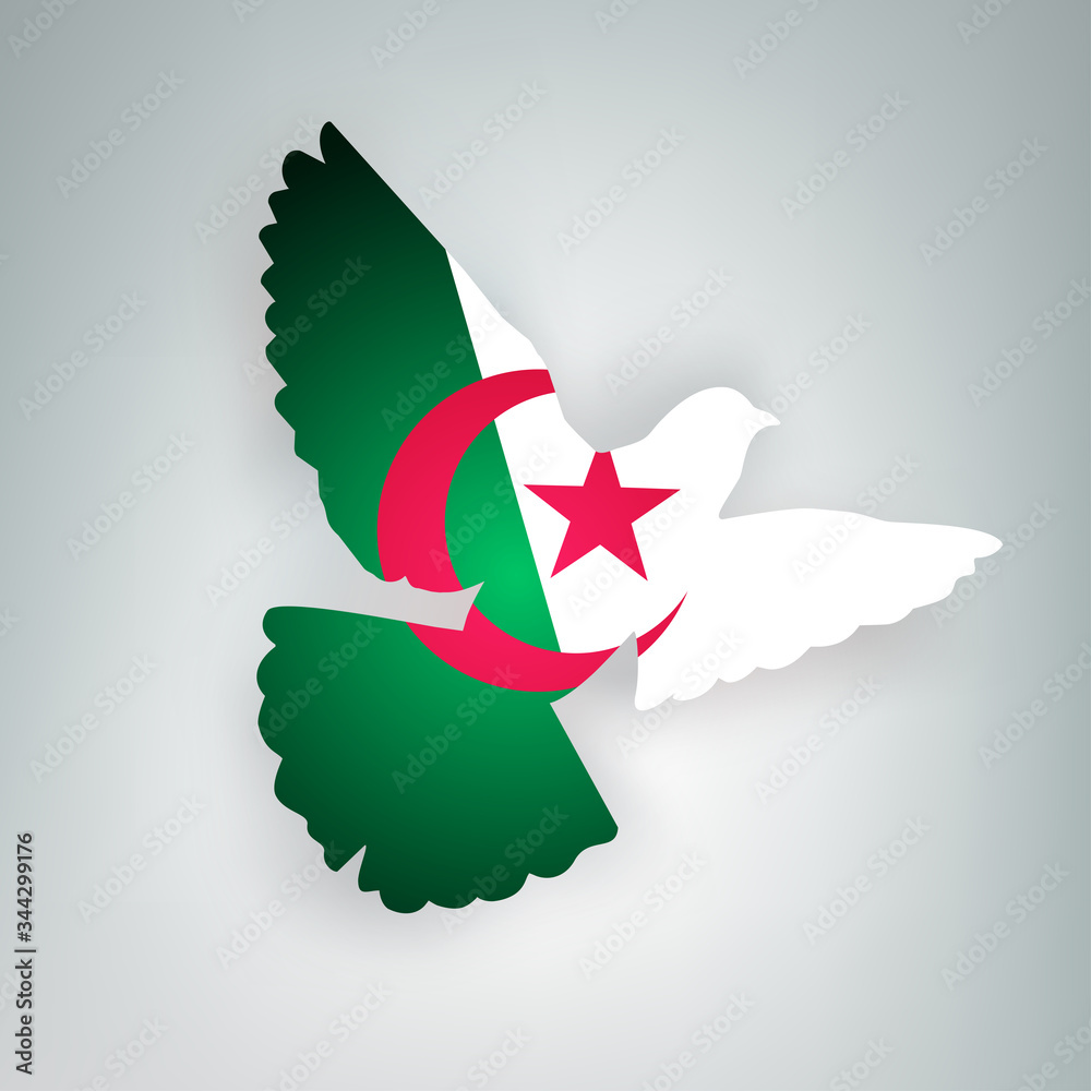 State flag of Algeria (People's Democratic Republic of Algeria)  in the shape of a bird. Flying dove flaps its wings on a gray background. 