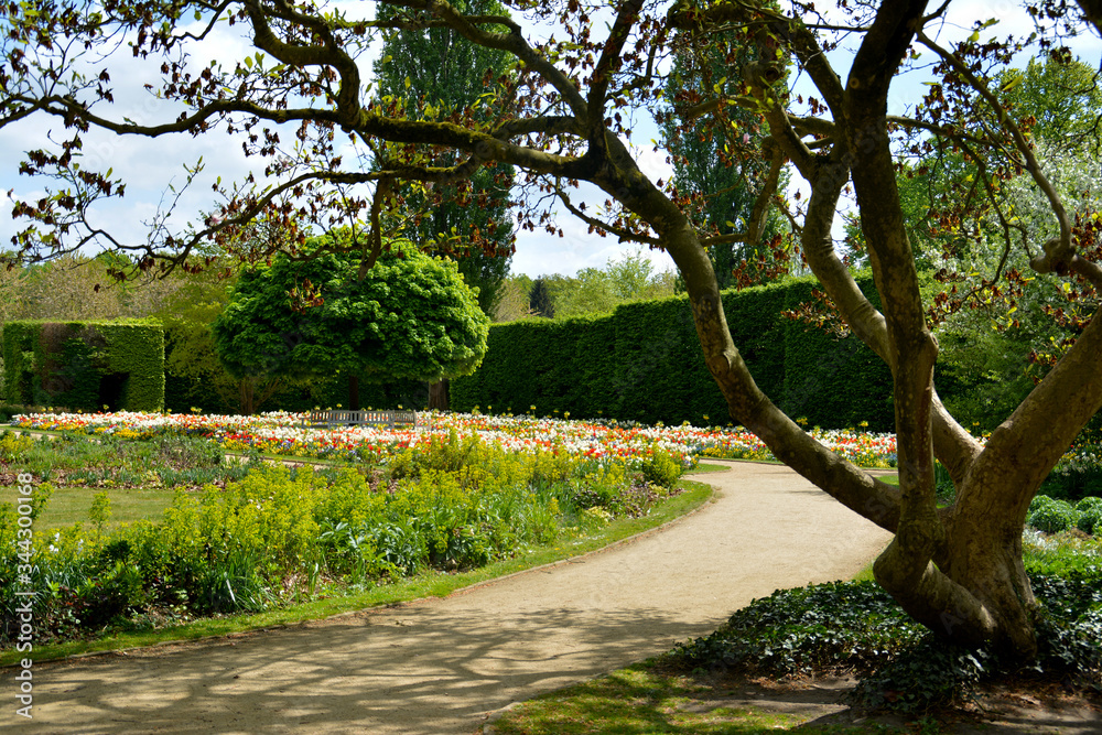 Botanischer Garten, Bunte Blumenwiese mit Tulpen, Stiefmütterchen, Narzissen, Gänseblümchen, Vergissmeinnicht und Kaiserkronen im Botanischen Garten in Gütersloh, NRW