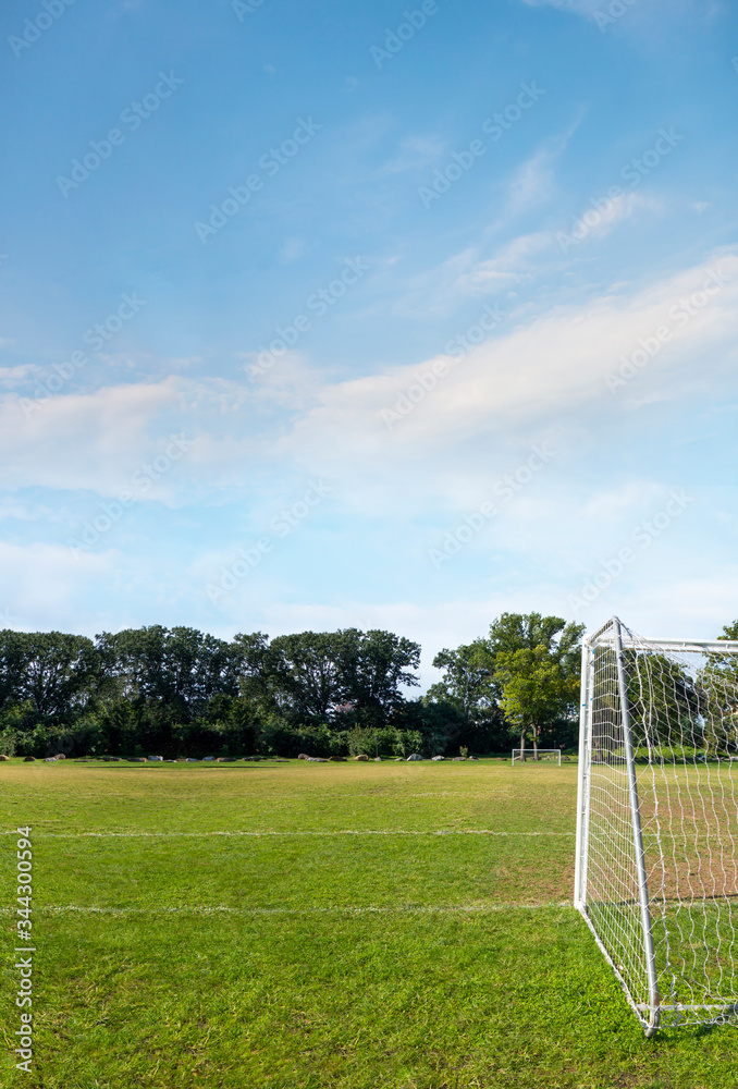 american soccer, European football, feild with net and green grass