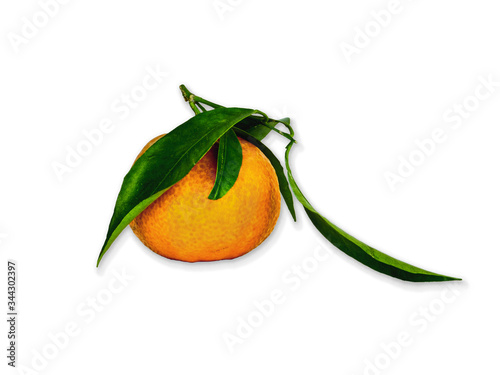 Mandarin , Single cropped Mandarin