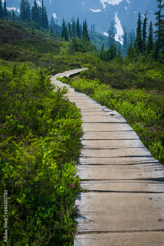 A portion of the Bagley Lake Trail in the Mount Baker Snoqualmie National Forest.