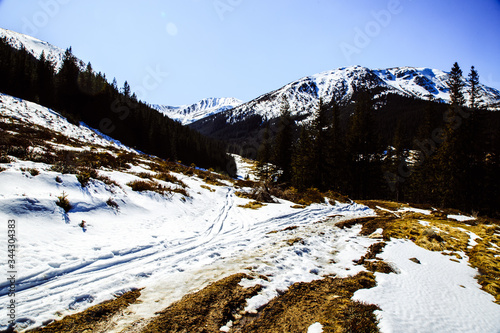 Landscape Freeride in the wild Carpathian mountain near big rocks.