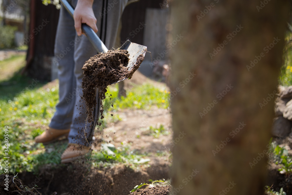 Male gardener digging garden with the spade.