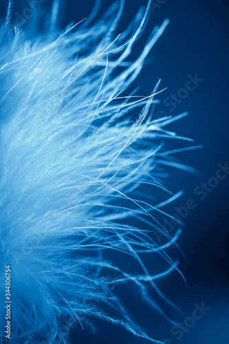 The most gentle swan fluff on a blue background. Ultra-blue color of fluff. Blurred focus. Selective focus. defocus. © Юлия Лисяная