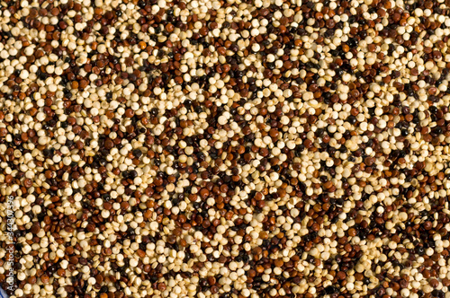 Uncooked mixed organic quinoa seeds texture background