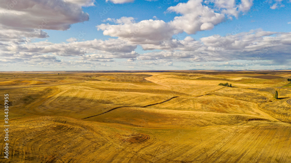 Fototapeta premium Clouds over Grass Desert Western Washington State (Aerial Drone Photo)