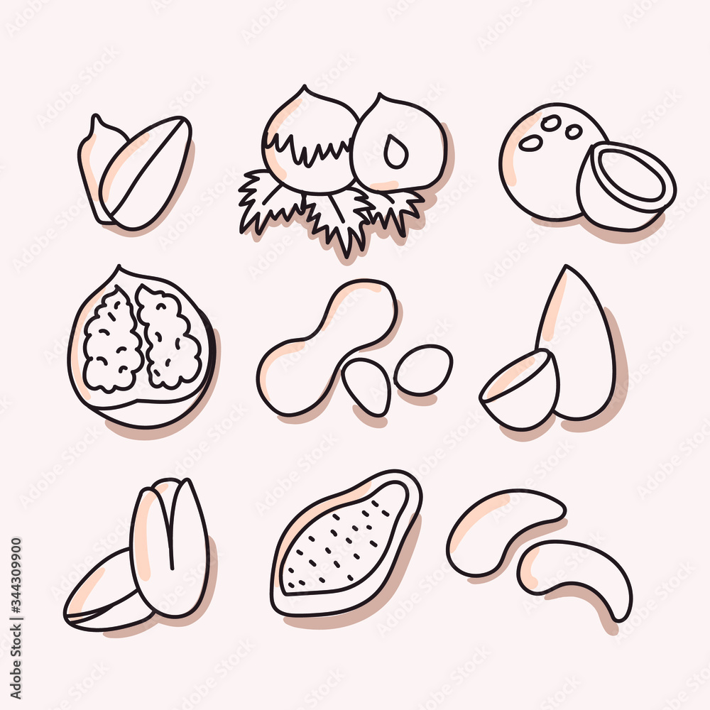 Naklejka premium Set of nuts and seeds on an isolated background. Macadamia, hazelnuts, walnuts, sunflowers, pistachios, cashews, almonds. Nuts on a white background, doodles. Logo of a loyalist, website. Vector.