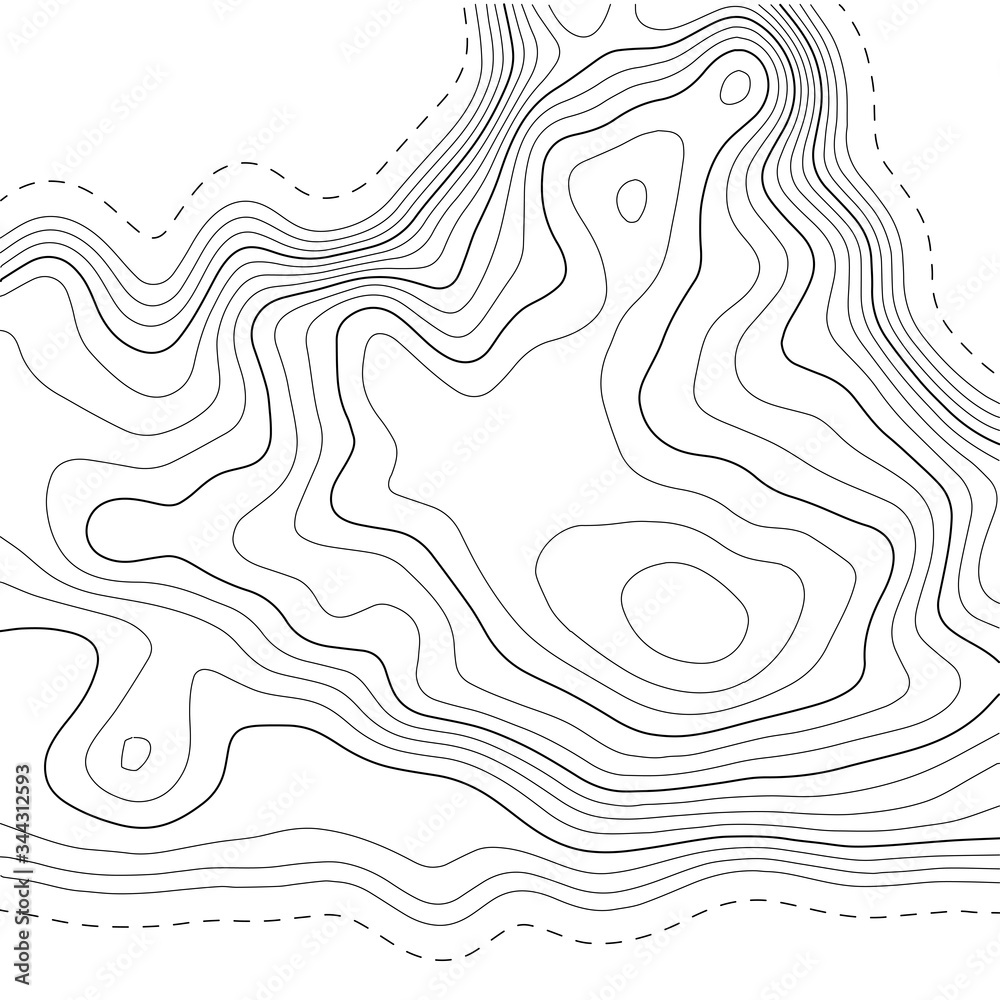 Fototapeta Topographic map background. Grid map. Abstract vector illustration.