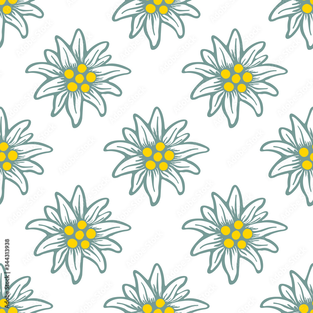 edelweiss flower icon vector alpine logo pattern, seamless, tile, background edelweiss flower icon vector alpine logo pattern, seamless, tile, background