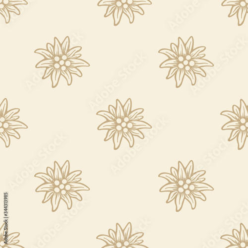 edelweiss flower icon vector alpine logo pattern, seamless, tile, background
