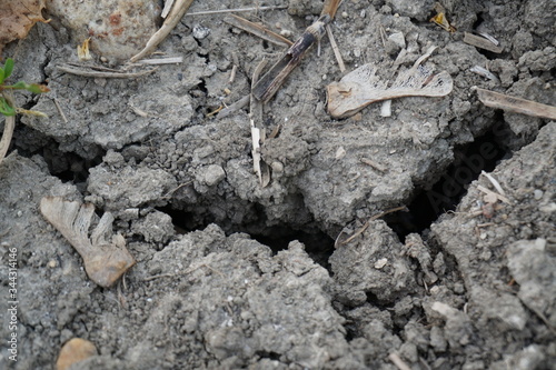 Wallpaper Mural Erdbodenriss Torontodigital.ca